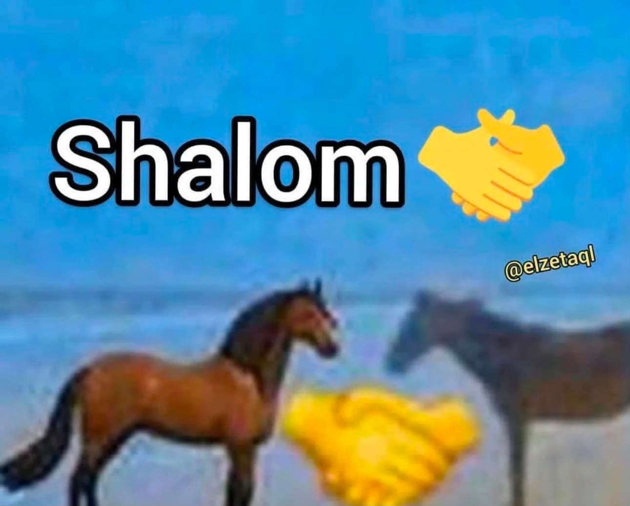 Shalom